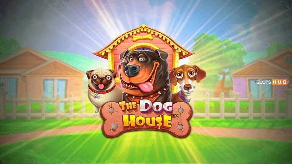 dog house φρουτάκι